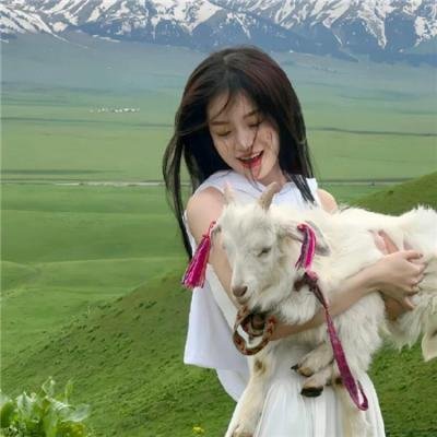 口碑佳作 在线观看